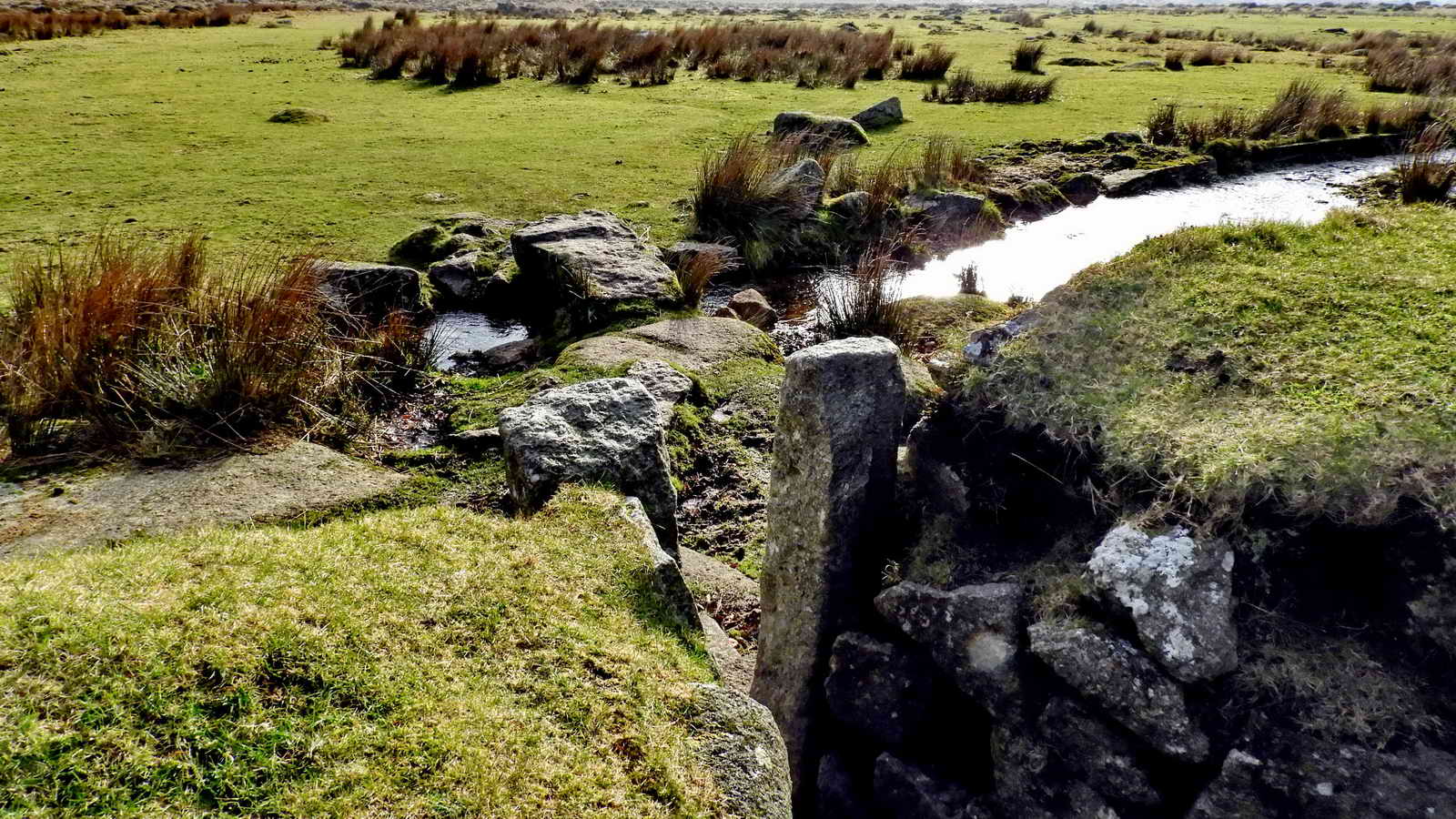 Looking over the wall at the back of the Four Winds site