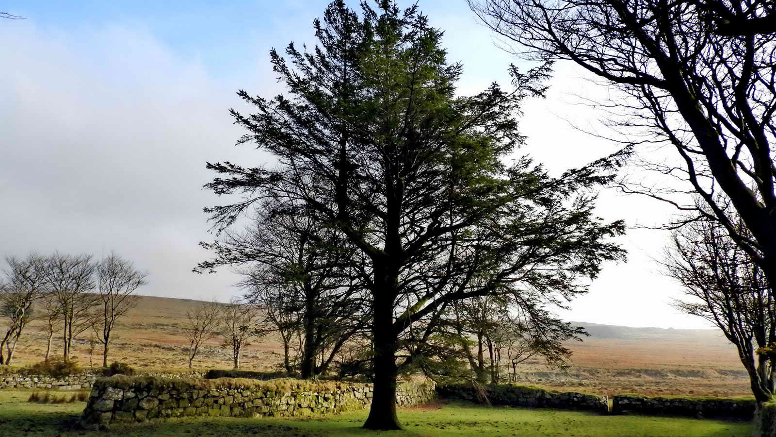 Four Winds, once the site of Foggintor School, is now our car park