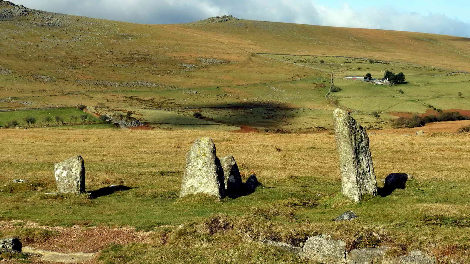 Looking north over the east end of the northern row