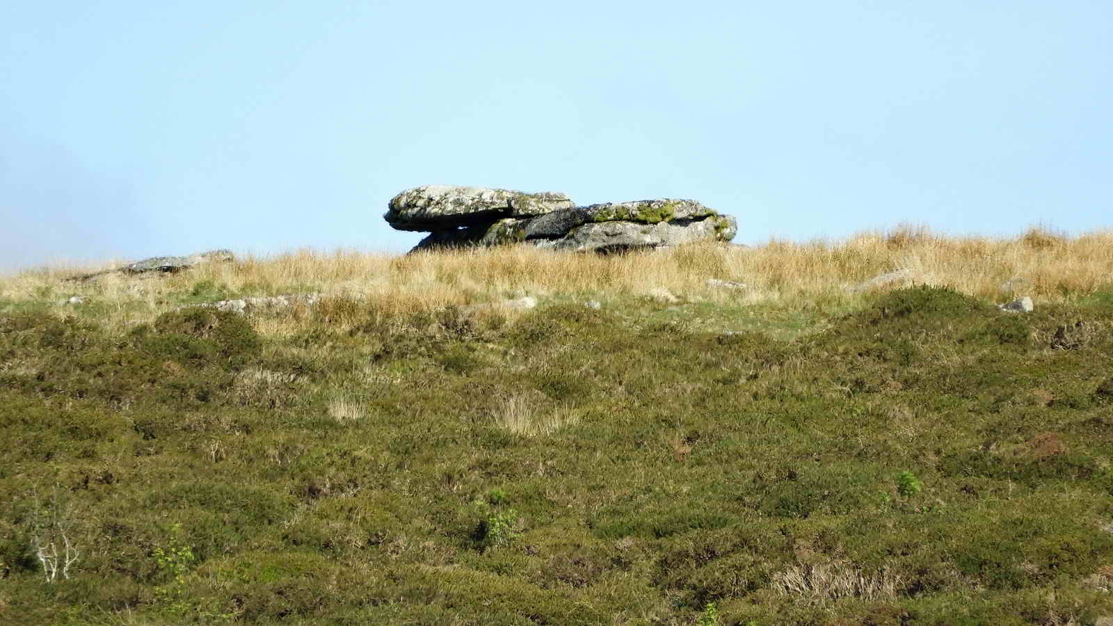 Zoomed view to Arch Tor, SX 6336 7817