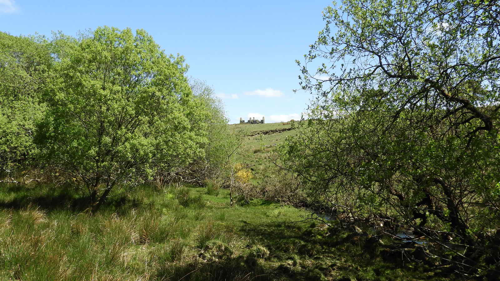 There is a view up on the hill from this point of the first Incorporation Mill