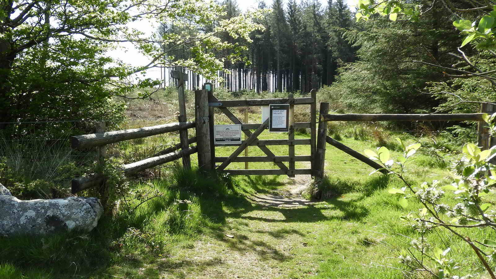 Lich Way gate coming out of Bellever Forest at SX 63768 77648