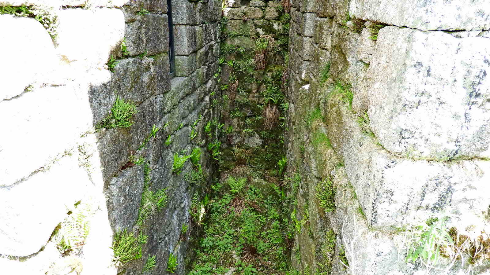 Wheelpit, seen from the downhill side