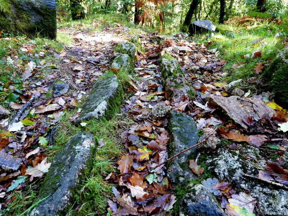 One of five or more drainage channels across the path