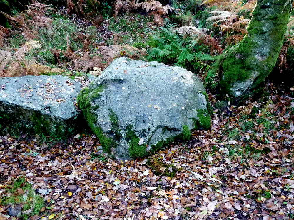 “Millstone” - Two granite slabs beside the path (SX 68876 72099), where we follow the small  path that climbs up on the left