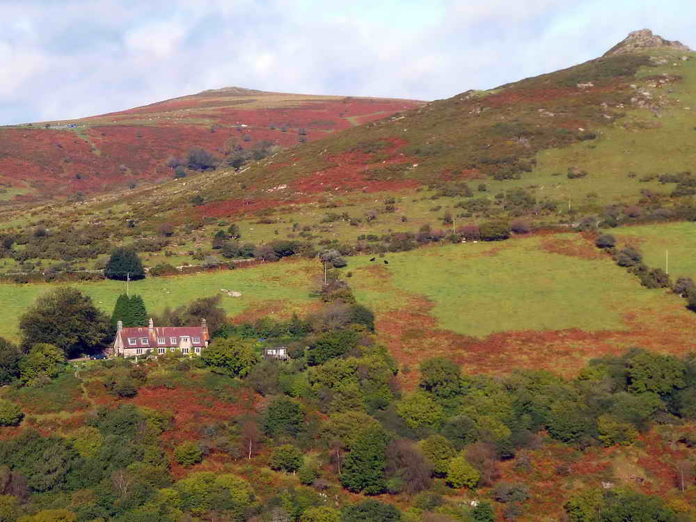 Yar Tor, at SX 678 740, elevation 416 metres (1364 feet) in the distance with Sharp Tor (right) and Rowbrook House in the foreground