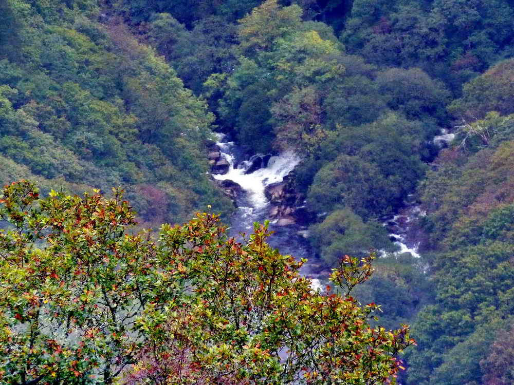 Looking down into the valley of the Dart