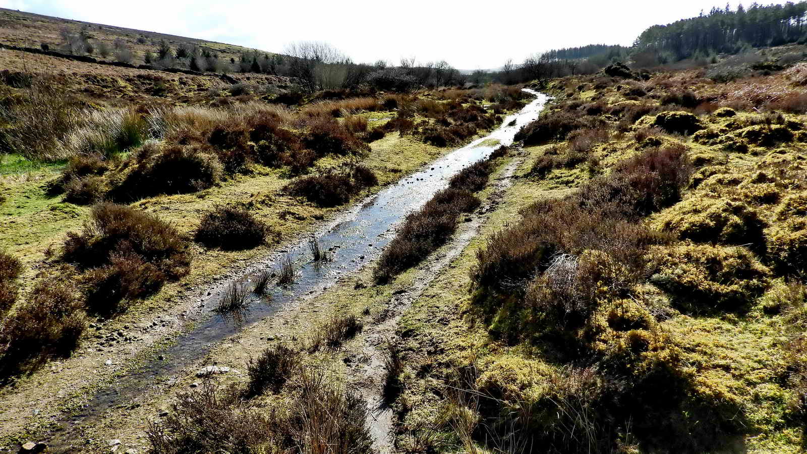 Looking down the path towards Golden Dagger mine. This track is rarely dry