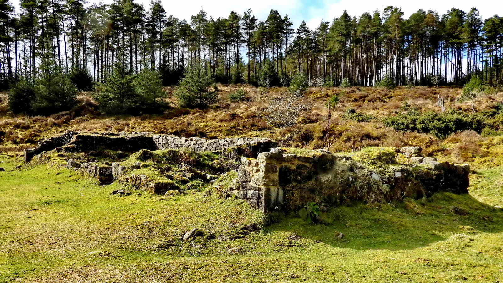 The Miner’s Dry at Golden Dagger