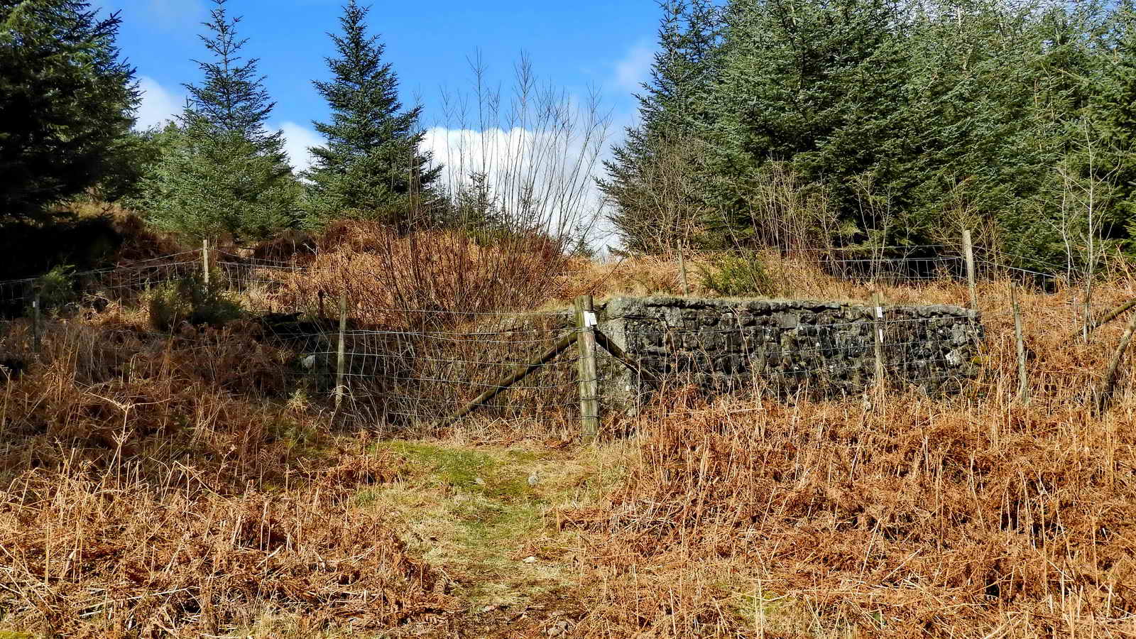 The built-up walls of the wheelpit at SX 68405 80108. This was the 22 x 9 ft wheel that drove 16 Cornish stamps for crushing the tin ore