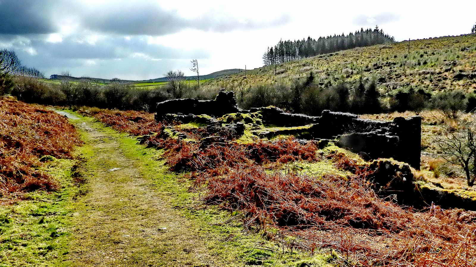 Looking south, further down the valley, towards the Engine House