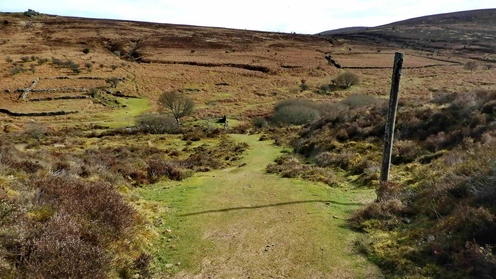 Looking down the grassy path at the Vitifer Mine site. Birch Tor can be seen on the horizon, top left