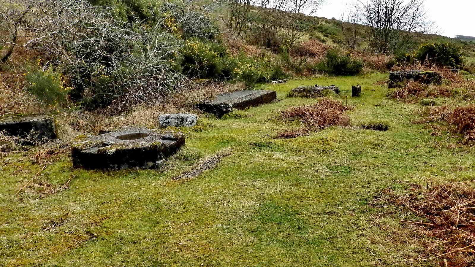 Ruins of the Engine House, looking South