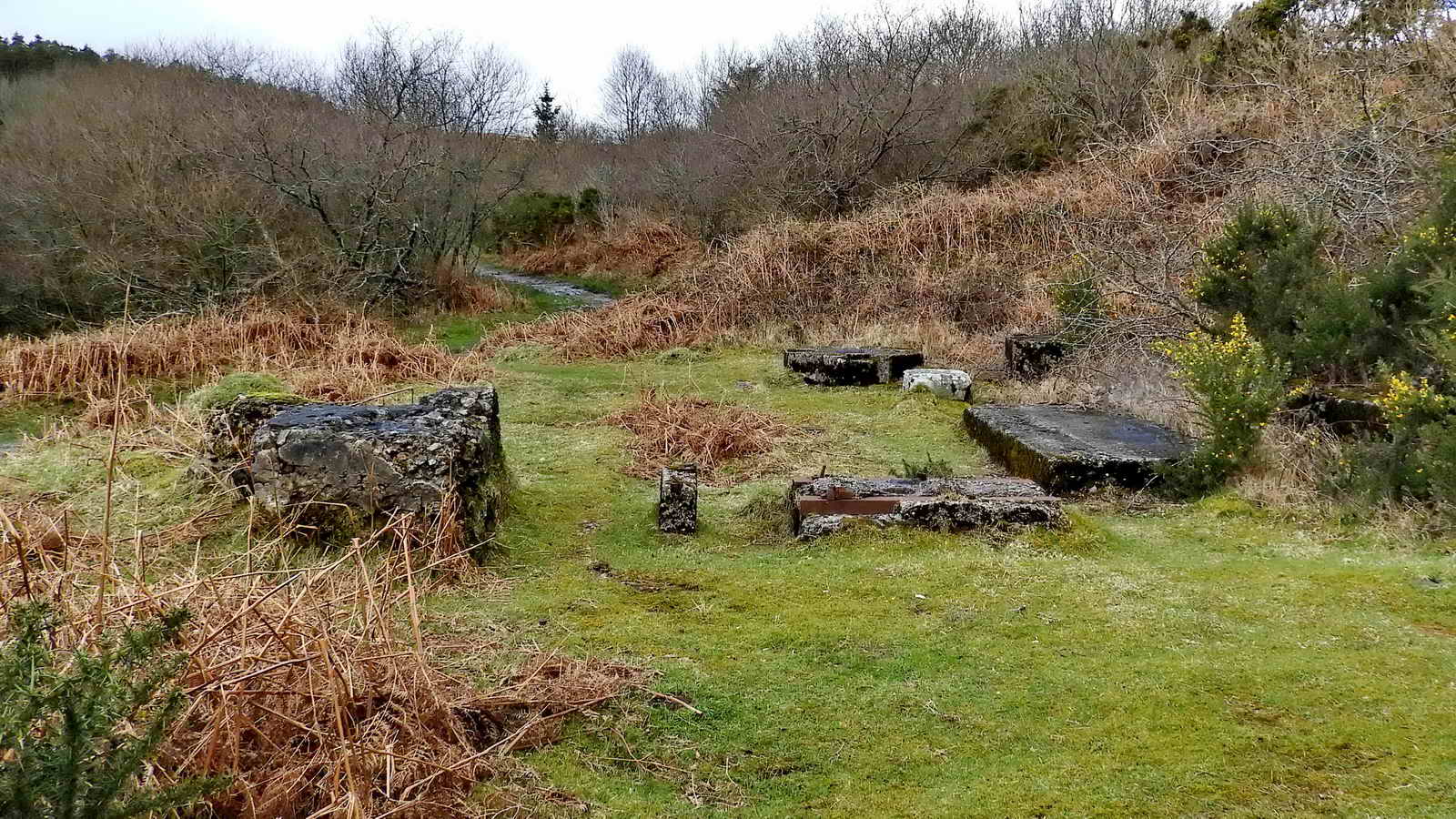 Engine House, looking North