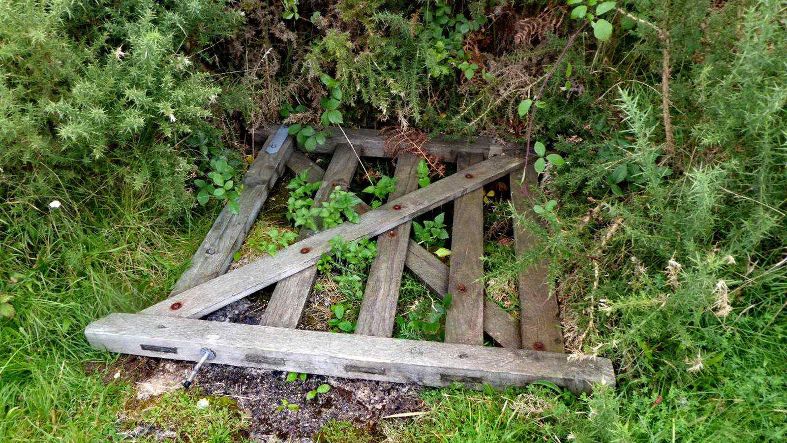 A hole guarded by a gate at the Engine house