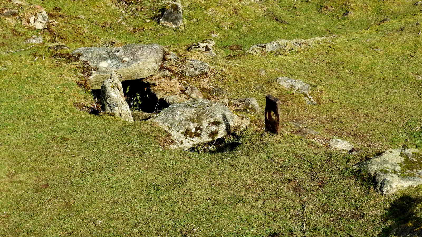 Some of the partially uncovered flue, plus an iron peg