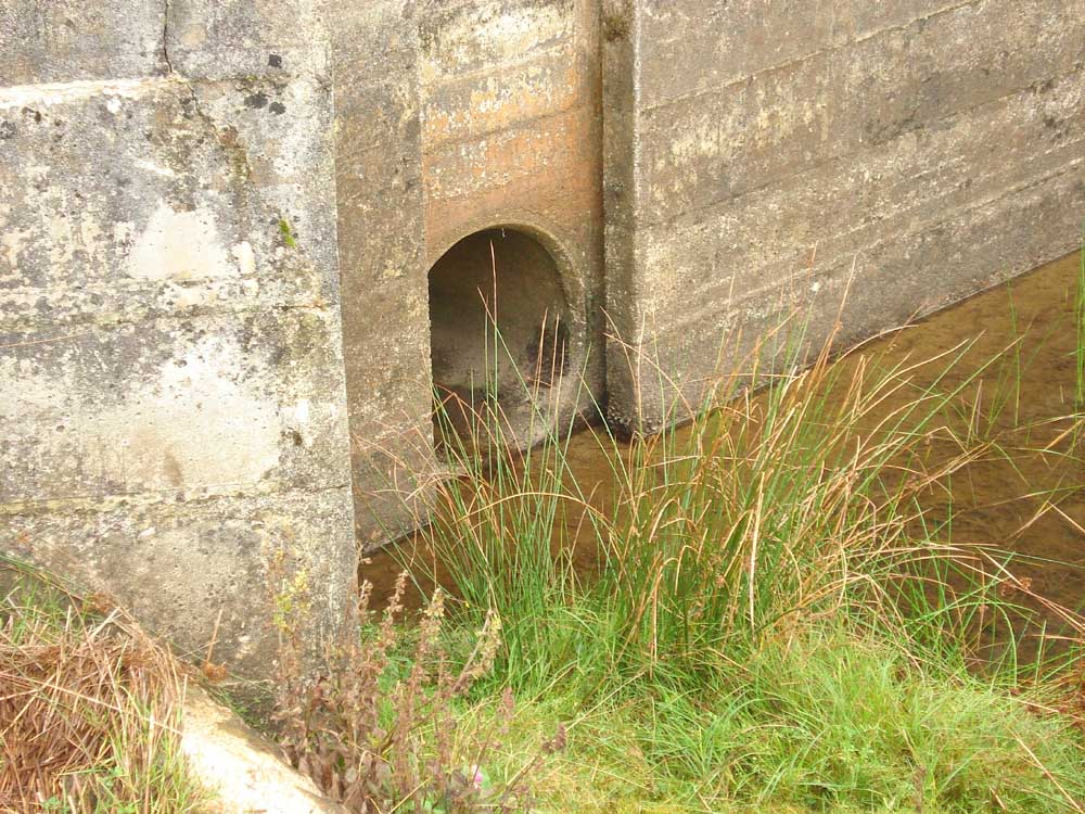 The site of another valve, with the slide missing