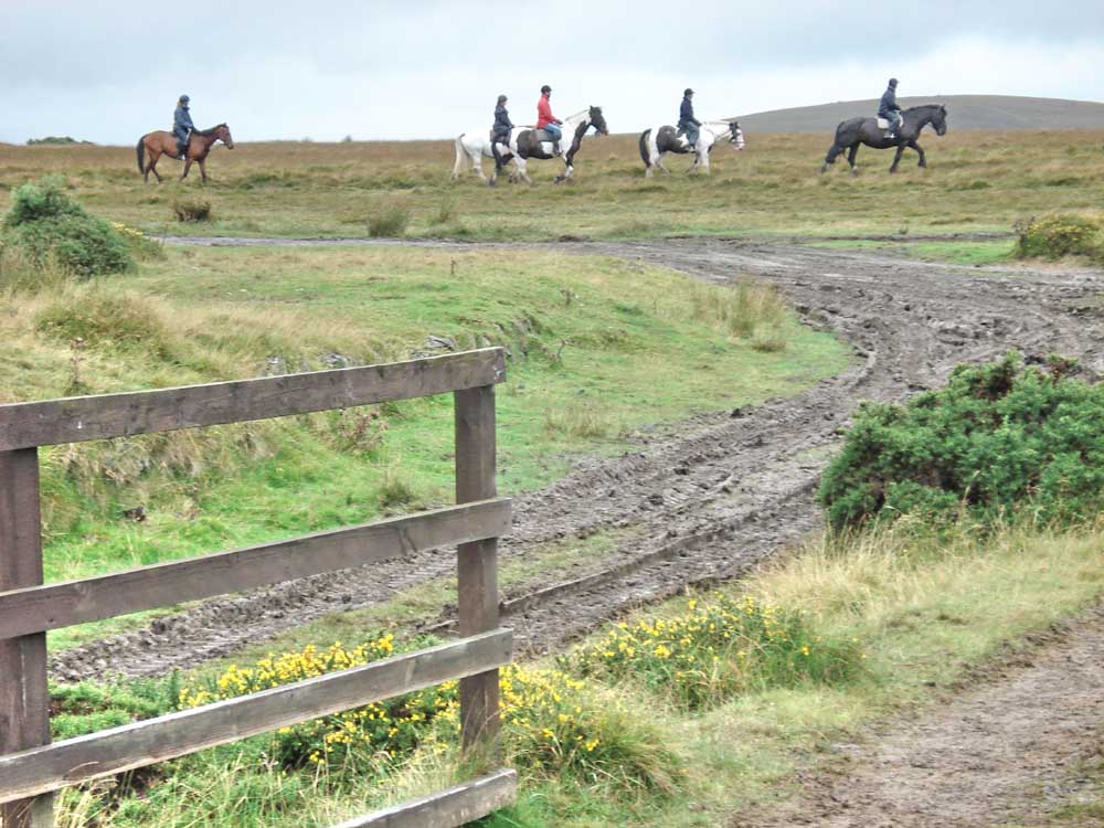 Passing riders from the Cholwell Riding Stables