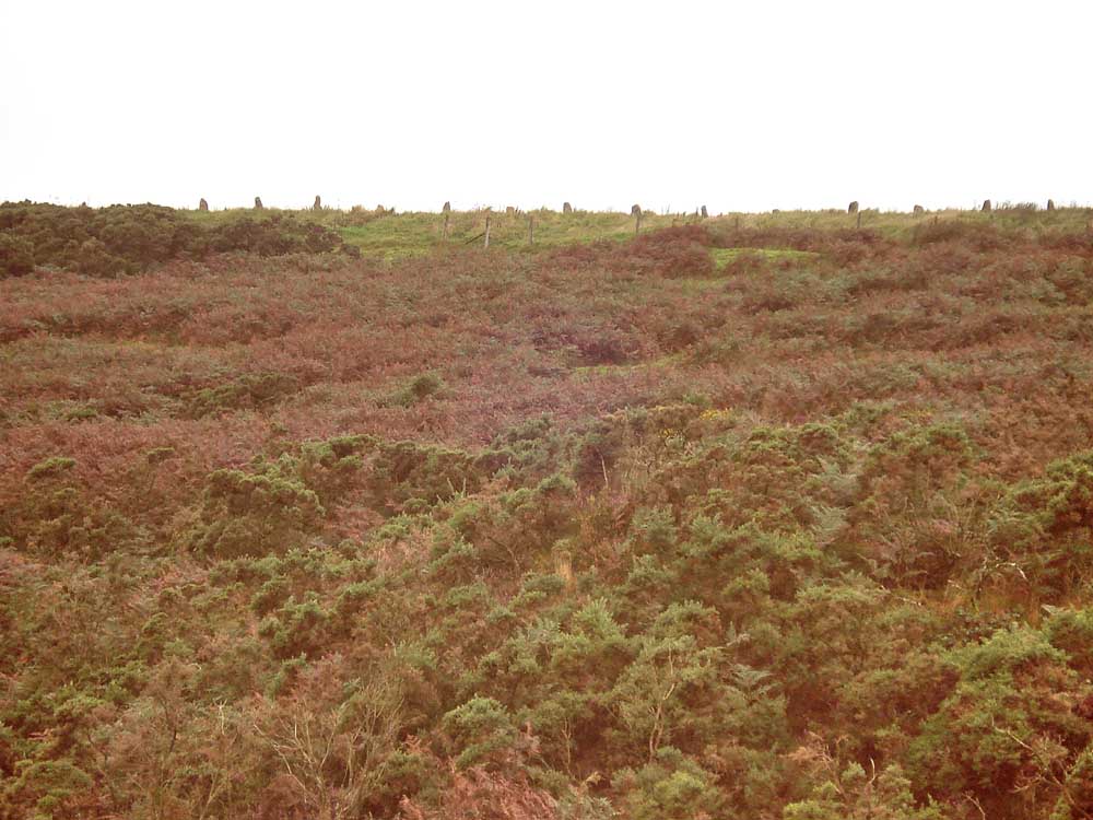 Annie Pinkham’s Men