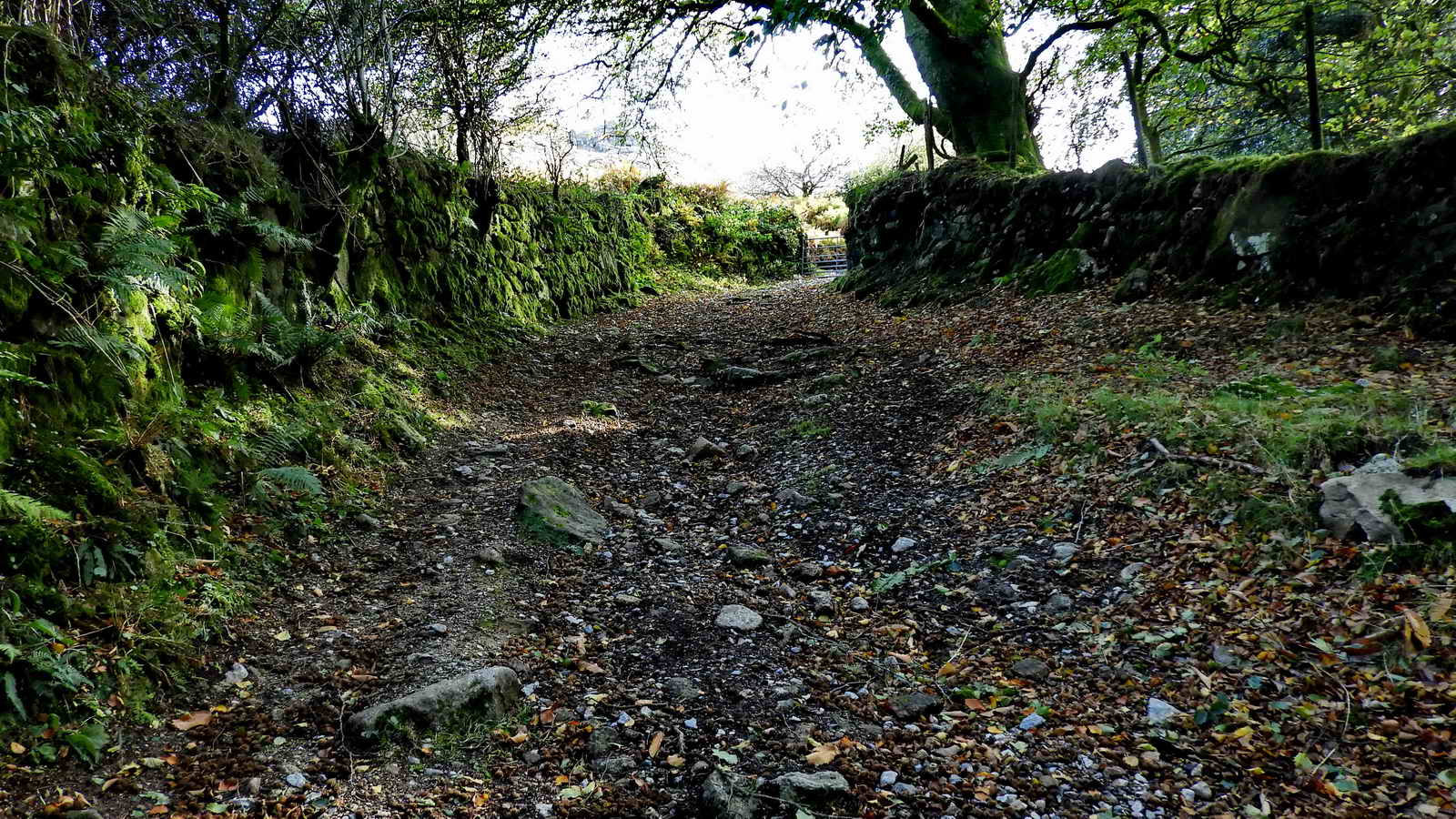 Turning off the road up Thornhill Lane