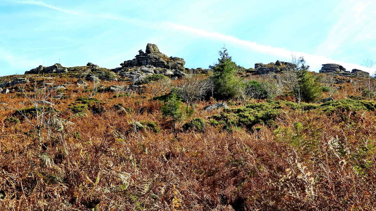 Honeybag Tor