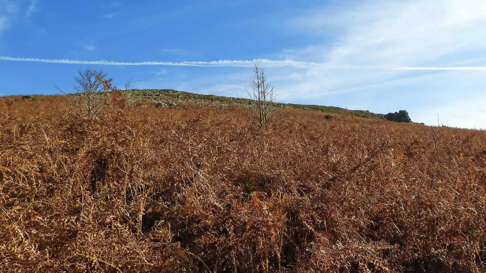 Chinkwell Tor (left) with Sharp Tor on it’s flank to the right