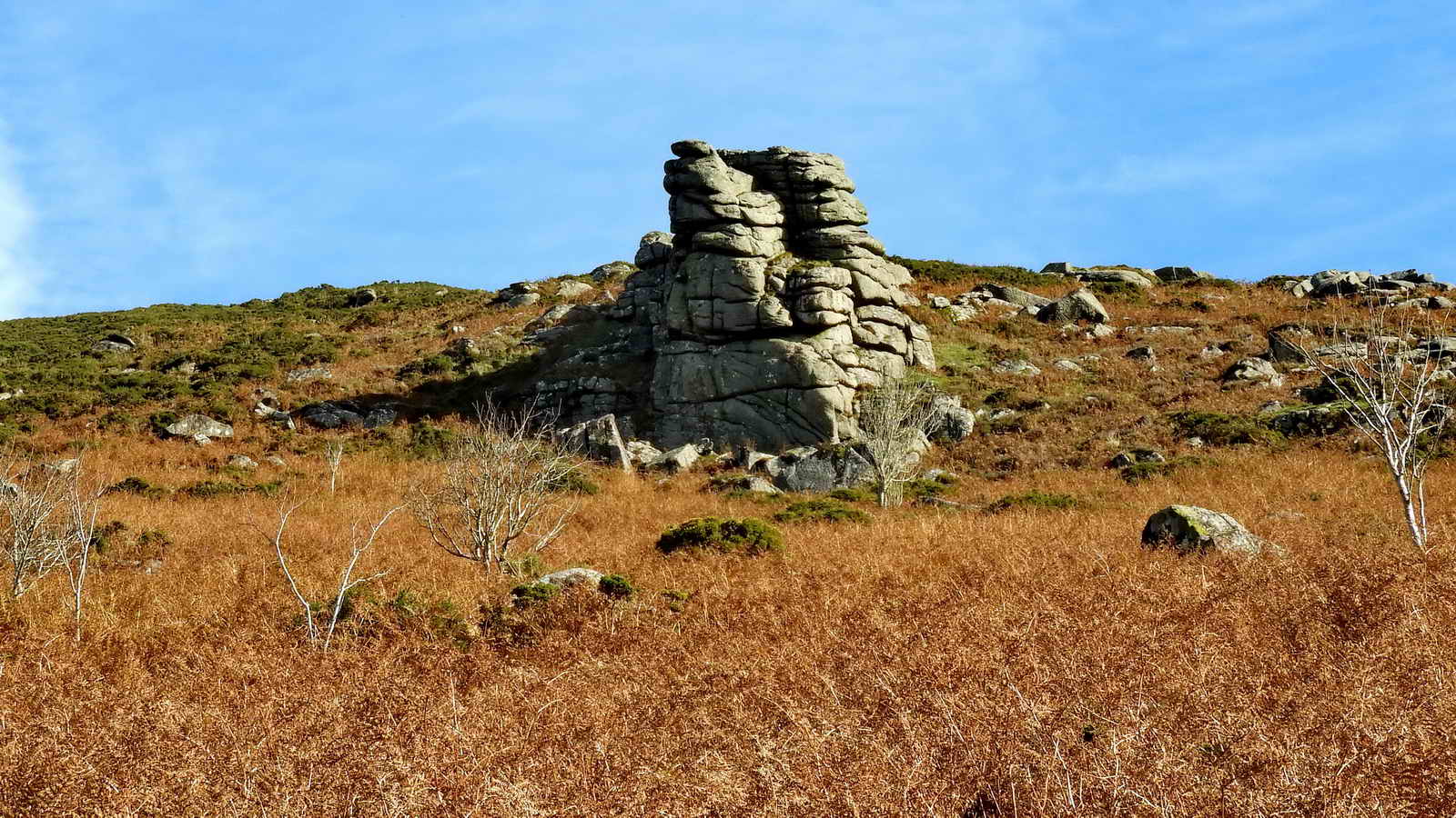 Sharp Tor, SX 7282 7807, elevation approx. 419 metres (1374 feet)