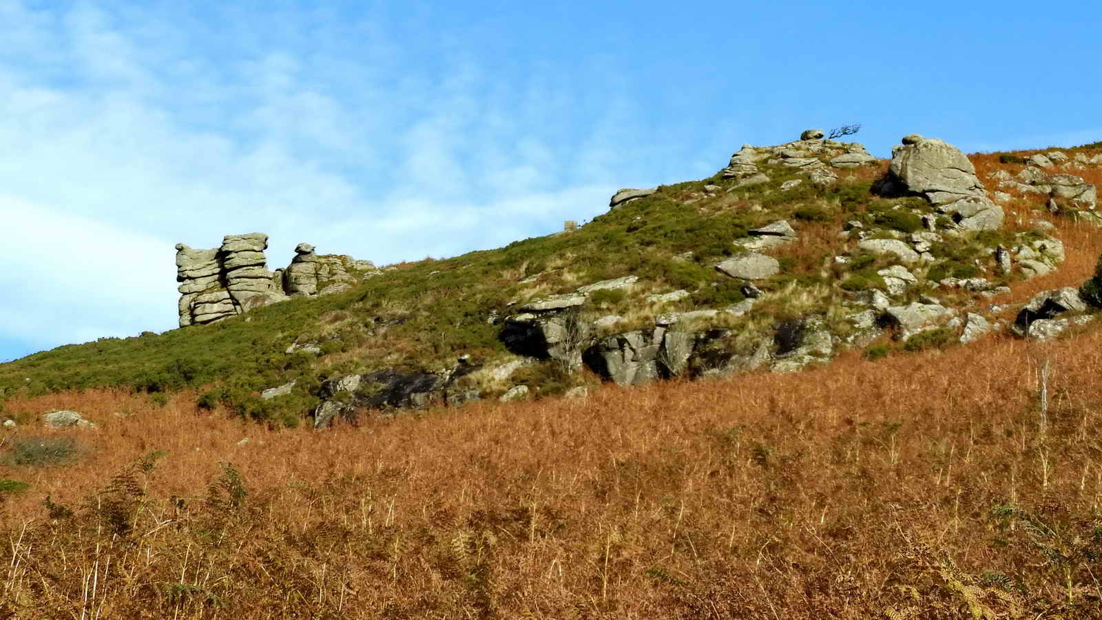 Looking back at Sharp Tor and Chinkwell Tor, which has a wind-shaped hawthorn tree near its summit