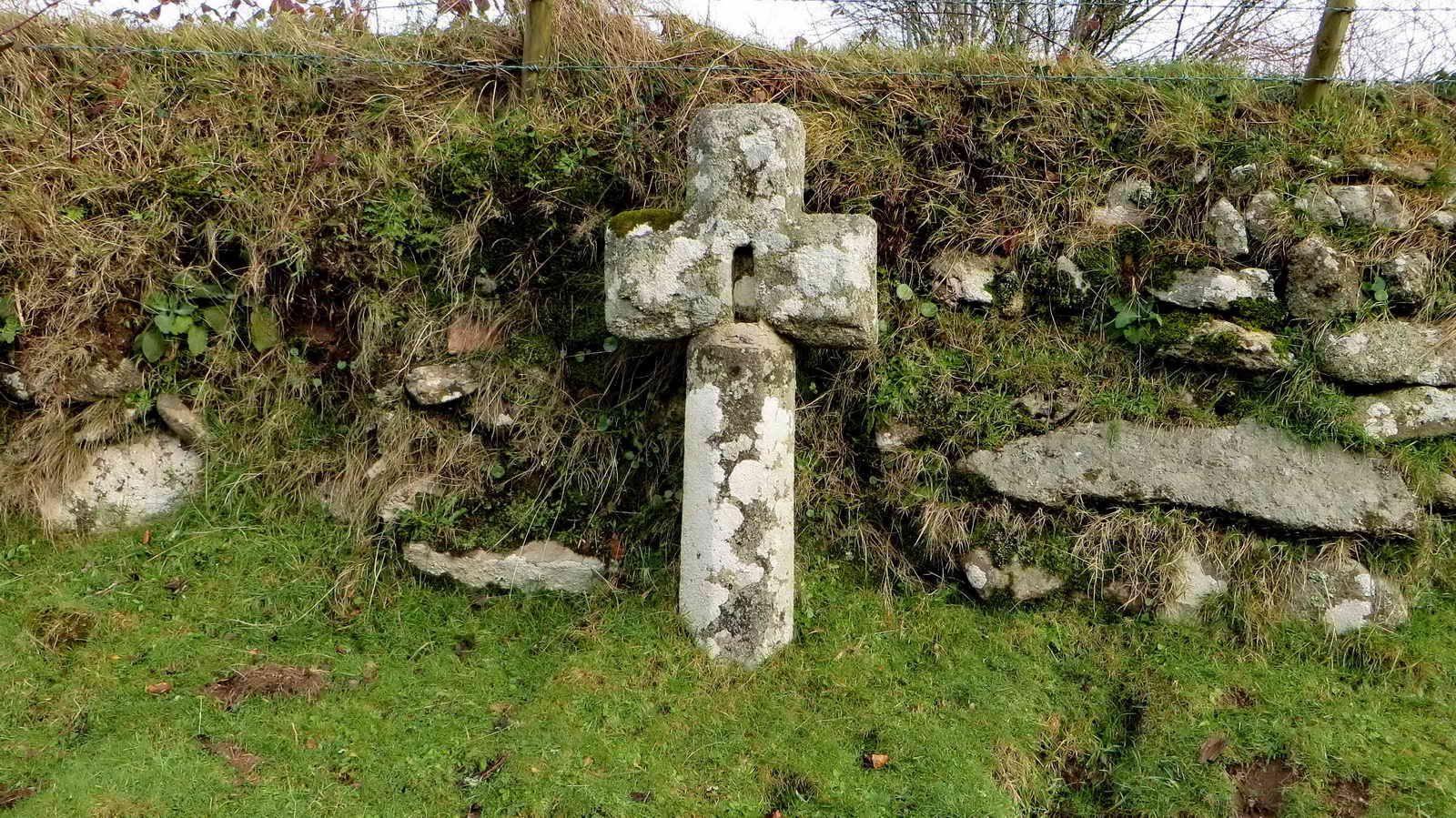 Drywell Cross