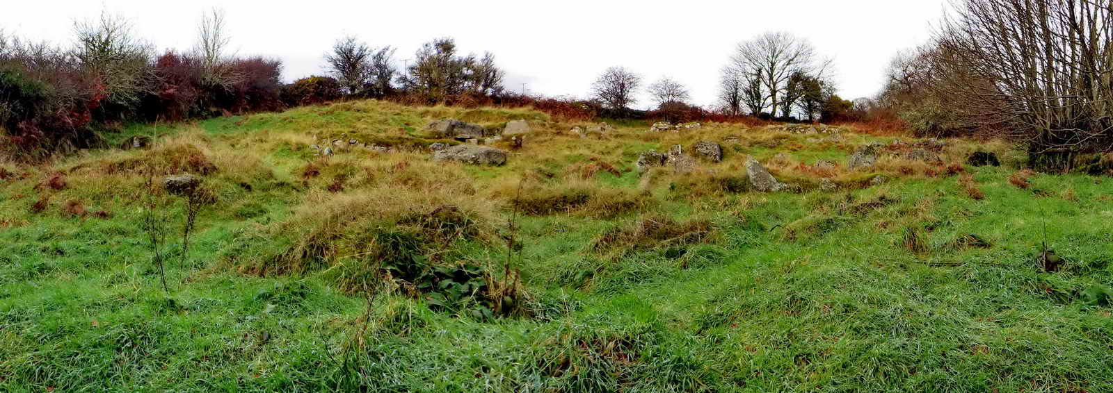 Looking up across the site