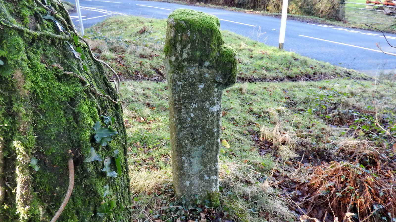 The back face of Lowery Cross facing the road. You can see a faint incised cross on the main shaft, starting to get swallowed by the moss