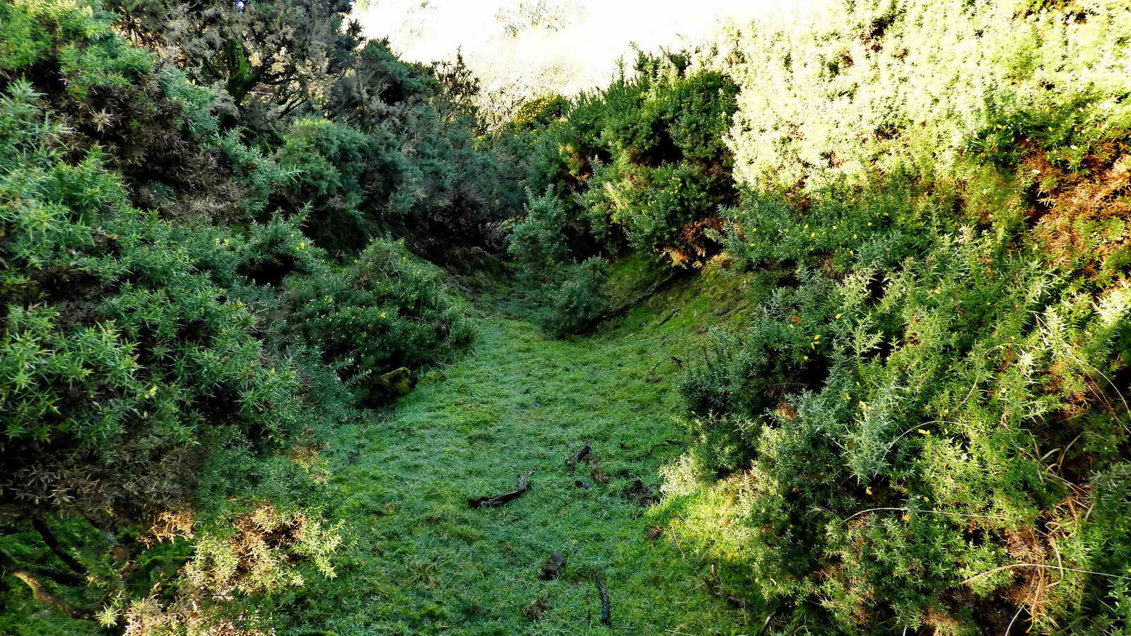 Part of a mine gully