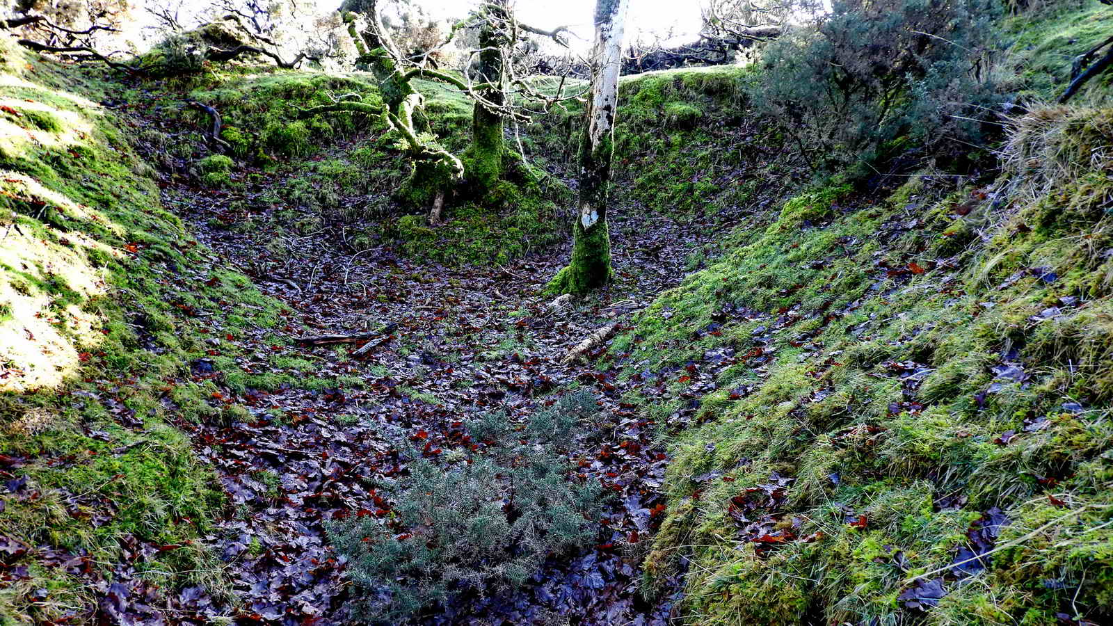 The gully ends in a pit, of sorts