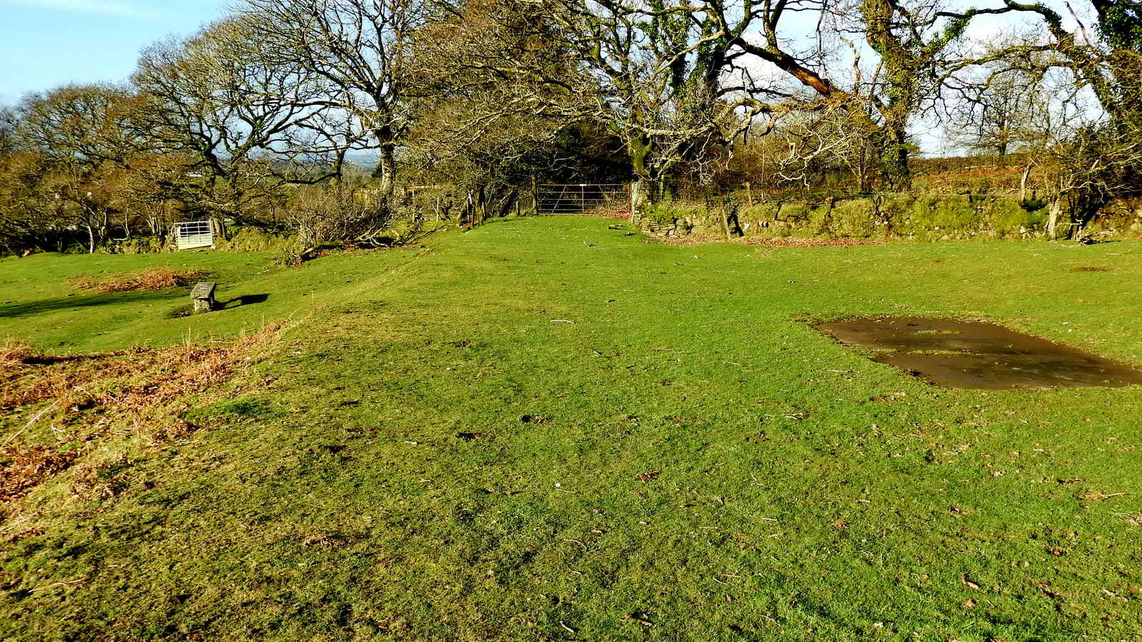 The gate at SX 54195 67909 where both railways entered Yennadown Common