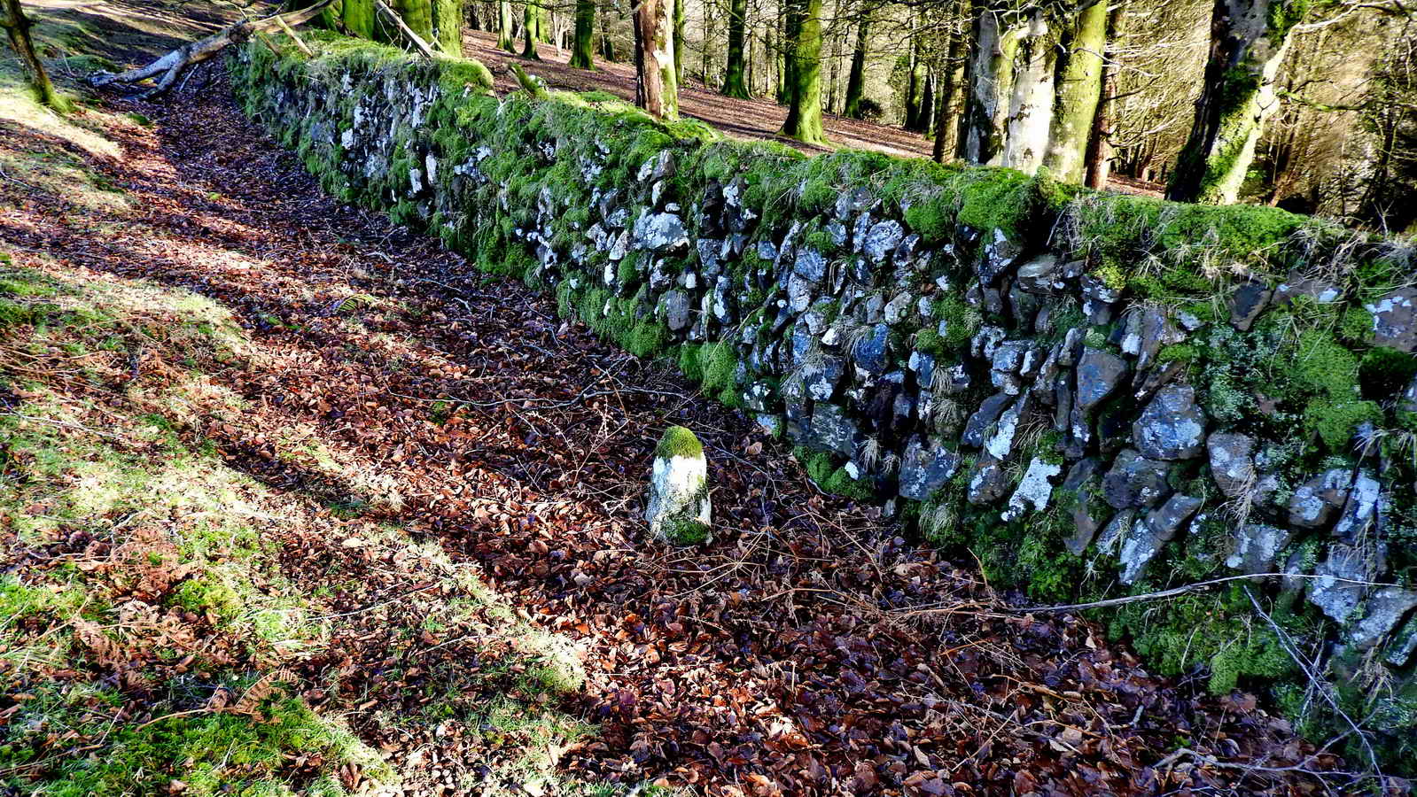 One of the boundary stones of the iron mine “sett” (permitted working area)