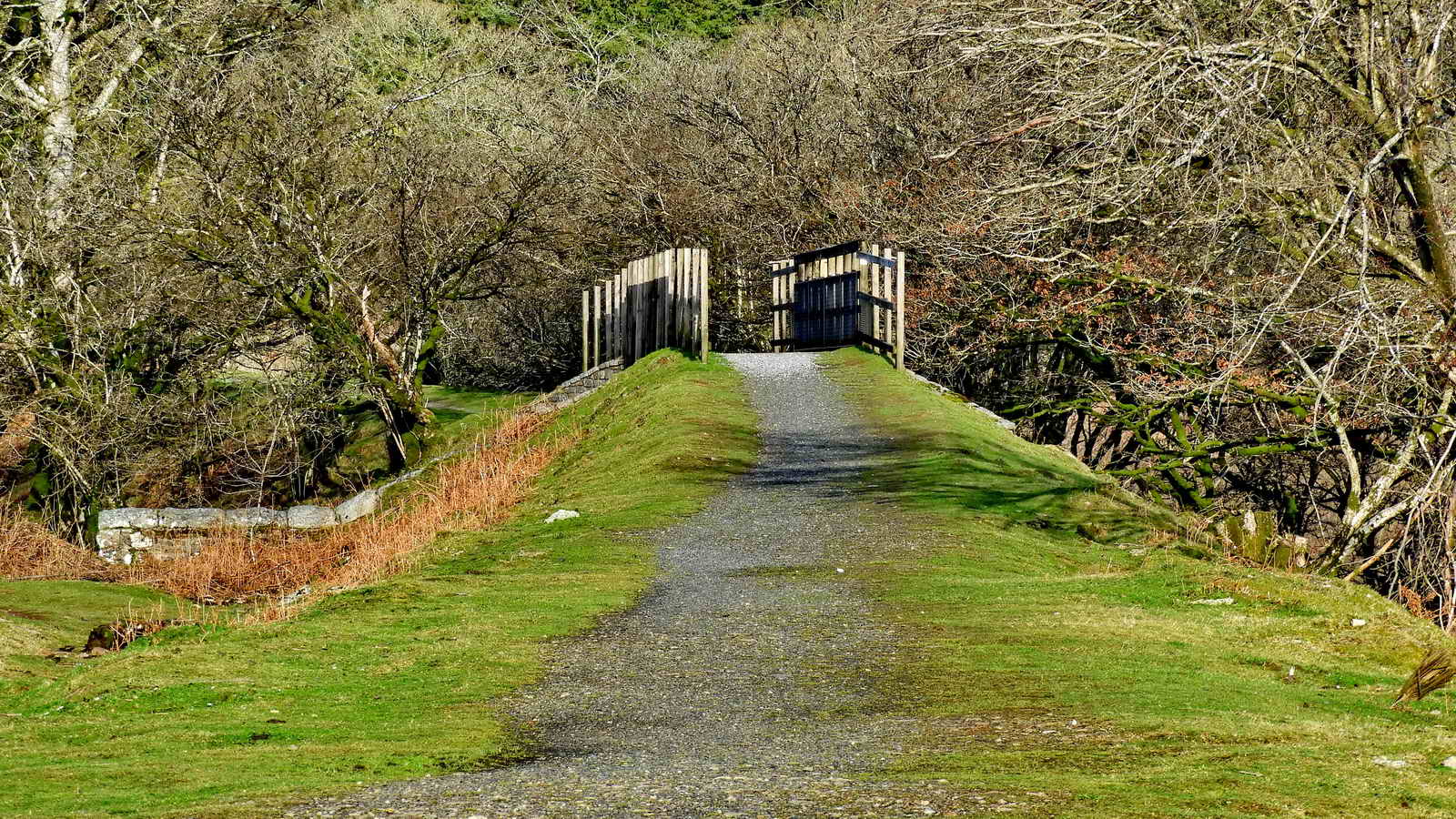 Having descended slightly, the walk rejoined the old Princetown Railway (later GWR) railway route / cycle route. Ahead is a modern bridge over the small road from Lowery Cross down to Burrator Discovery Centre