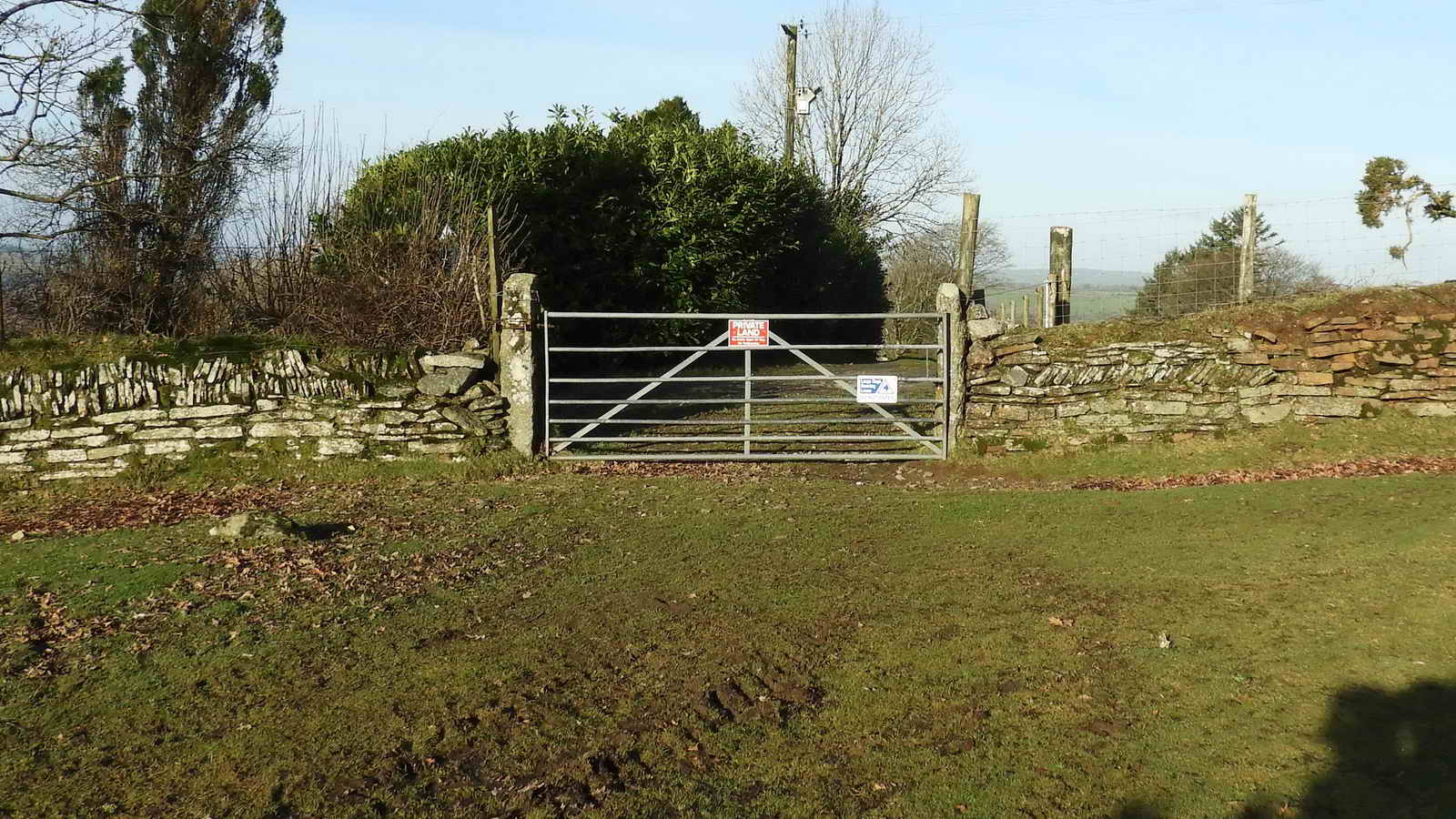 Field gate at SX 54235 69018