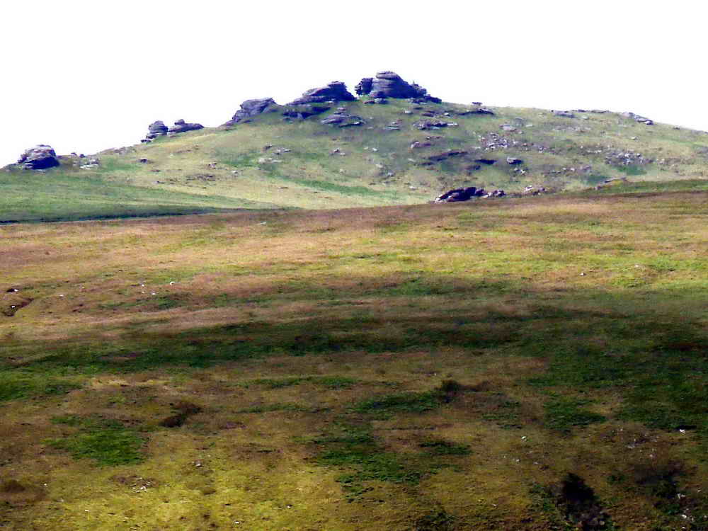 Zoomed view to Great Links Tor, SX 551 867, elevation 586 metres (1922 feet), 4.52 km (2.81 miles) distant. Its triangulation pillar is clearly visible; the southern section of Blackator Copse is in direct line with the tor, seen from this point on Yes Tor