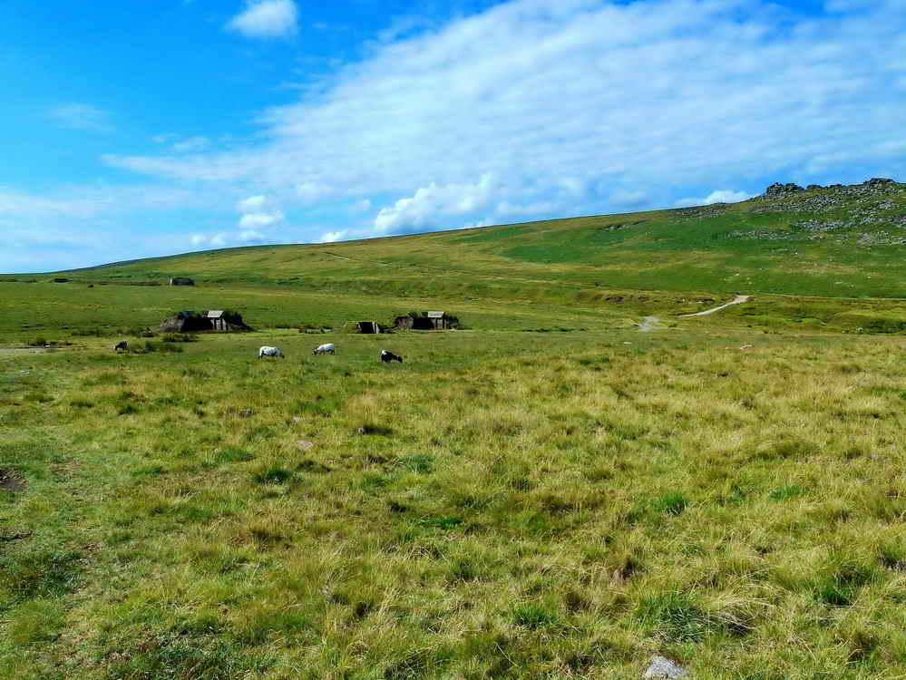 Looking forward to firing points for army Medium Anti-tank Weapons bays at SX 5934 9144, with West Mill Tor on the right